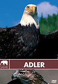 Film: Safari: Adler