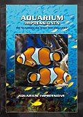 Aquarium Impressionen