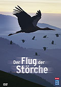 Film: Der Flug der Strche