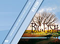 Film: Big Fish - Cinegallery Edition