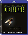 Die Fliege