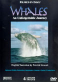 Whales - An Unforgettable Journey