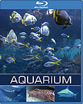 Film: Aquarium