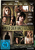 Film: Winged Creatures