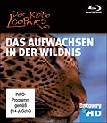 Film: Der kleine Leopard - Das Aufwachsen in der Wildnis