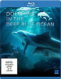 Dolphins in the Deep Blue Ocean