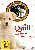 Quill - Ein Freund frs Leben