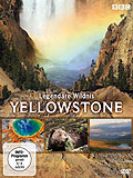 Yellowstone