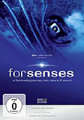 Forsenses - A Fascinating Journey into Nature & Sound