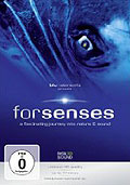 Film: Forsenses - A Fascinating Journey into Nature & Sound