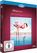 Film: Das Geheimnis der Flamingos