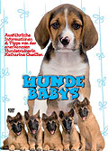 Hundebabys