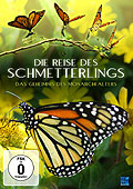 Film: Die Reise des Schmetterlings