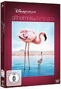 Das Geheimnis der Flamingos