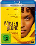 Film: Wstenblume