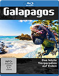 Film: Galapagos - Das letzte Tier Paradies unserer Erde