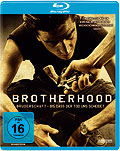 Film: Brotherhood