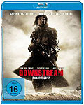 Downstream - Endzeit 2013