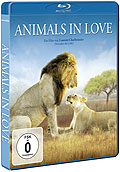 Animals in Love