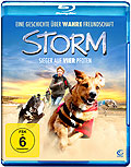 Storm - Sieger auf vier Pfoten