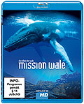 Mission Wale