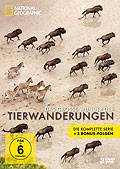 Film: National Geographic - Das groe Wunder der Tierwanderungen - Box