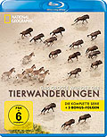 National Geographic - Das groe Wunder der Tierwanderungen - Box