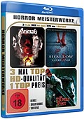 Film: Horror Meisterwerke