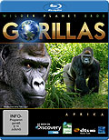Film: Wilder Planet Erde: Afrika - Gorillas