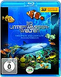 3D Unterwasserwelten - Tropen-Aquarium Hagenbeck
