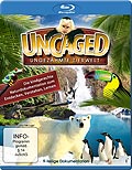 Film: Uncaged - Ungezhmte Tierwelt