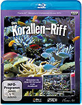 Korallen-Riff