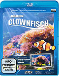 Film: Clownfisch-Aquarium