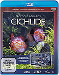 Film: Tropische Aquarien - Cichlide