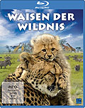 Film: Waisen der Wildnis