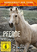 Film: Wunderwelt der Tiere: Pferde