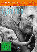 Film: Wunderwelt der Tiere: Elefanten