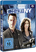 CSI NY - Season 6