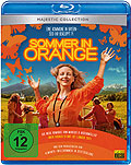 Sommer in Orange