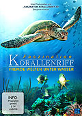 Film: Faszination Korallenriff - Fremde Welten unter Wasser