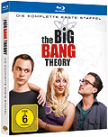 The Big Bang Theory - Staffel 1