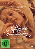 Picknick am Valentinstag