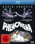 Phenomena