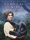 Film: Gorillas im Nebel