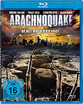 Film: Arachnoquake