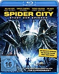 Film: Spider City