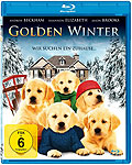 Golden Winter - Wir suchen ein Zuhause