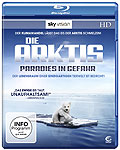 Film: Die Arktis - Paradies in Gefahr