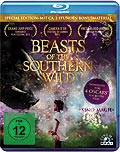 Film: Beasts of the Southern Wild