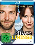 Film: Silver Linings